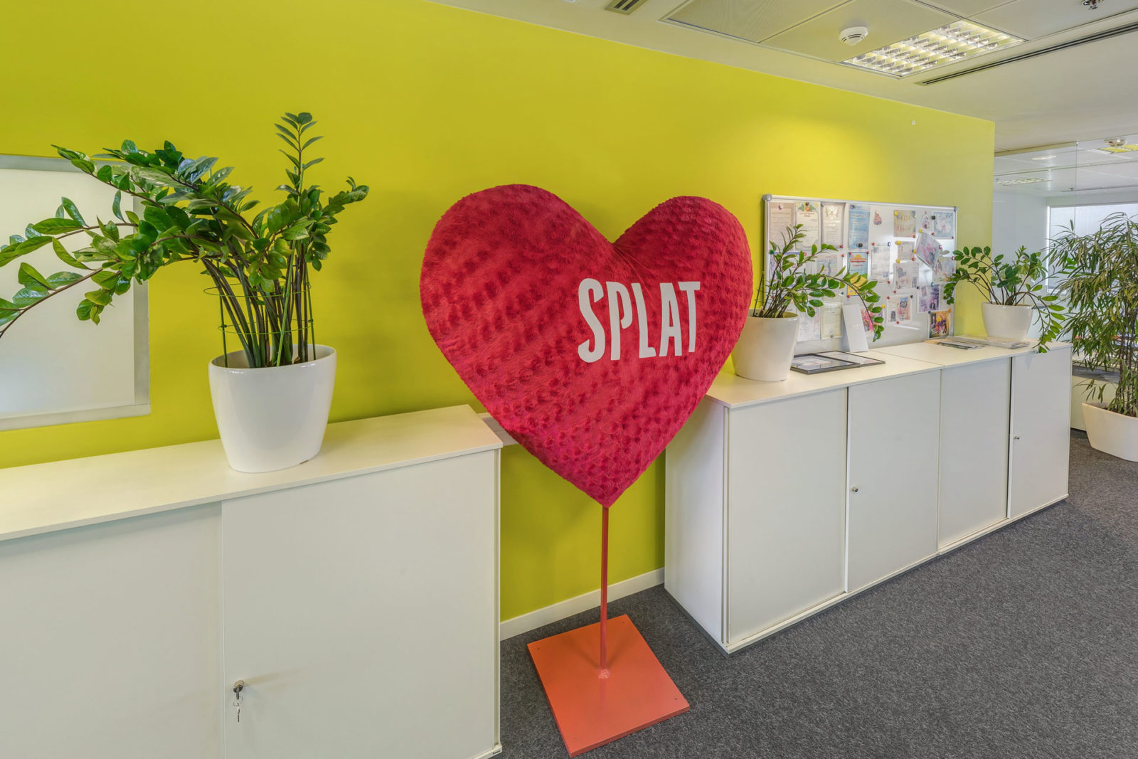 фотографии с сайта https://www.splat.ru/