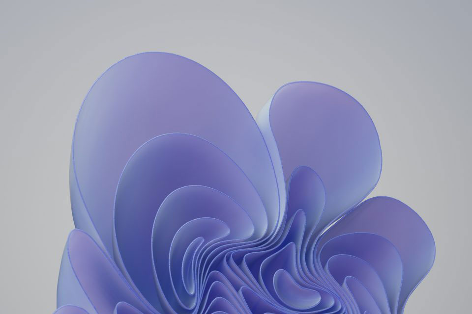 Обои для Windows 11 в цветах года PANTONE Color of the Year for 2022