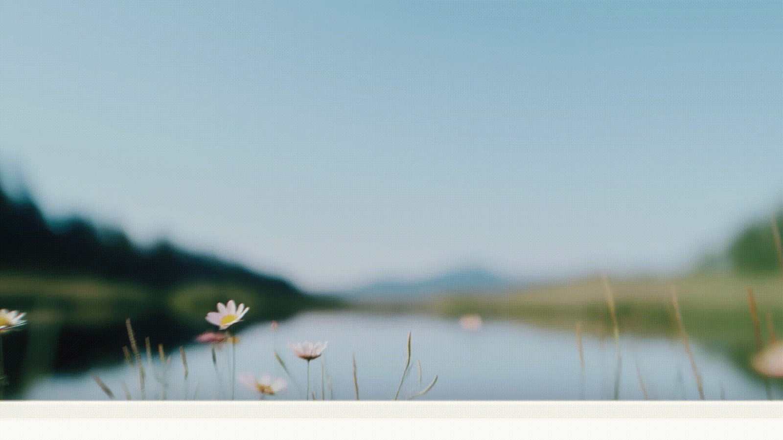 microsoft-copilot-gpt-5 gif animation