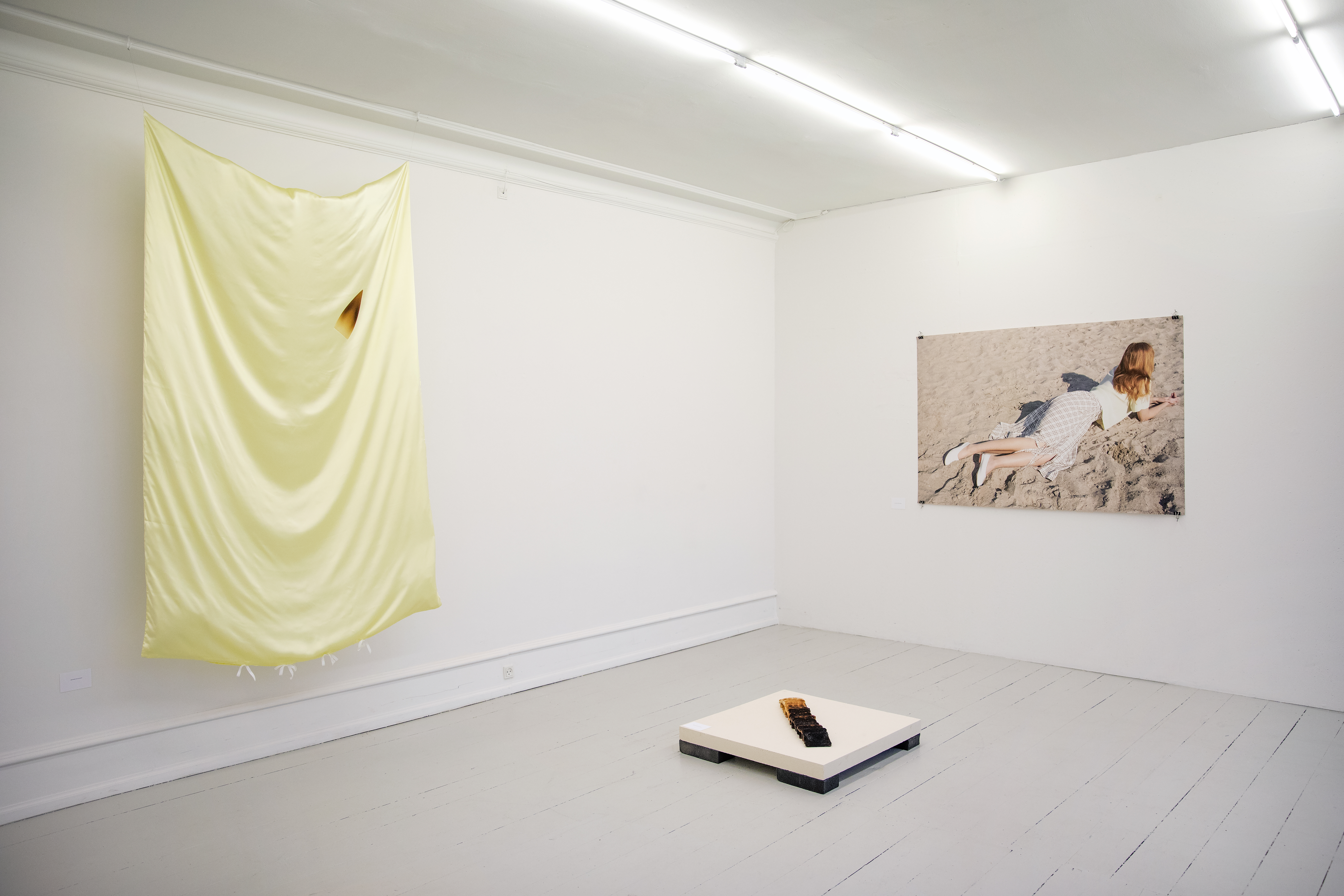 Image of exhibition