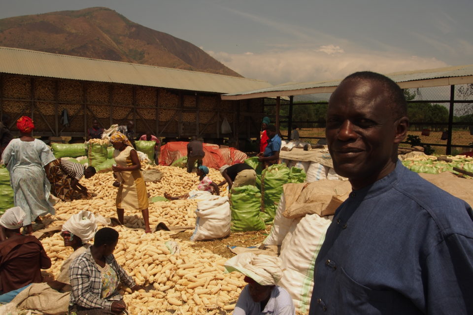 Image of people in Uganida working with crops