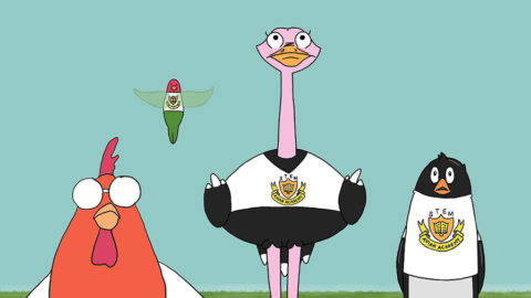 A group of four birds, a chicken, hummingbird, ostrich, and a penguin, from left to right