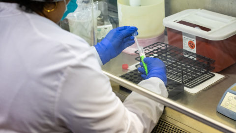 A lab technician working with a sample