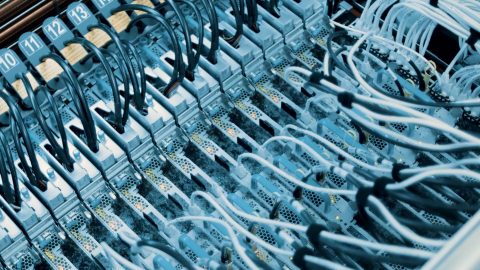 Server blades immersed in a bubbling two-phase immersion cooling tank