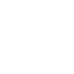 globe icon