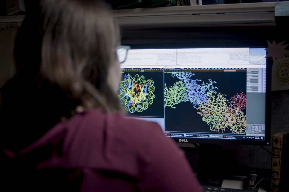 Microsoft annuncia AI For Health: l'intelligenza artificiale al servizio della ricerca medico scientifica