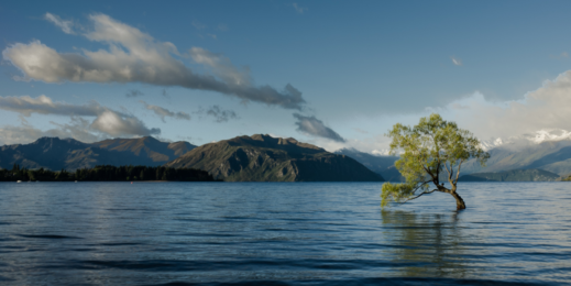 Microsoft’s commitment to sustainability