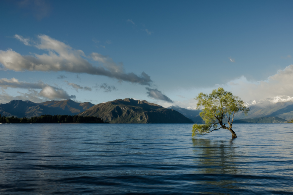 A healthy society requires a healthy planet