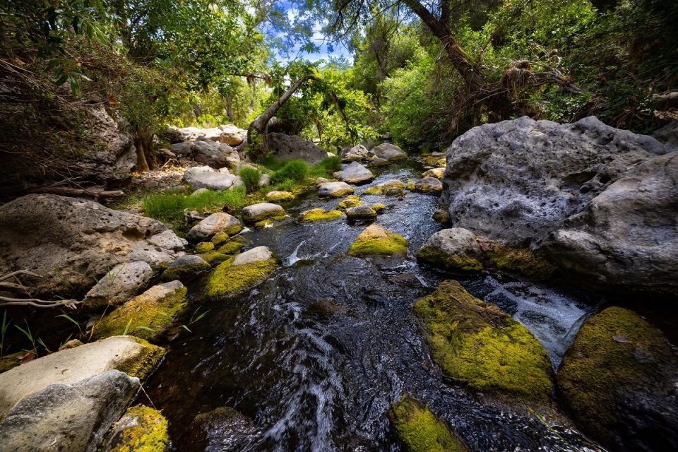 Put technology to work for sustainability