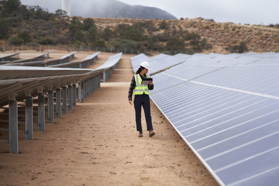 Sustainability meets innovation: How technology is shaping the future of business