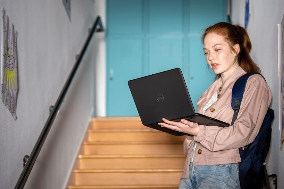 New Knowledge – New Opportunities: How to Master In-Demand Skills and Secure an IT Job