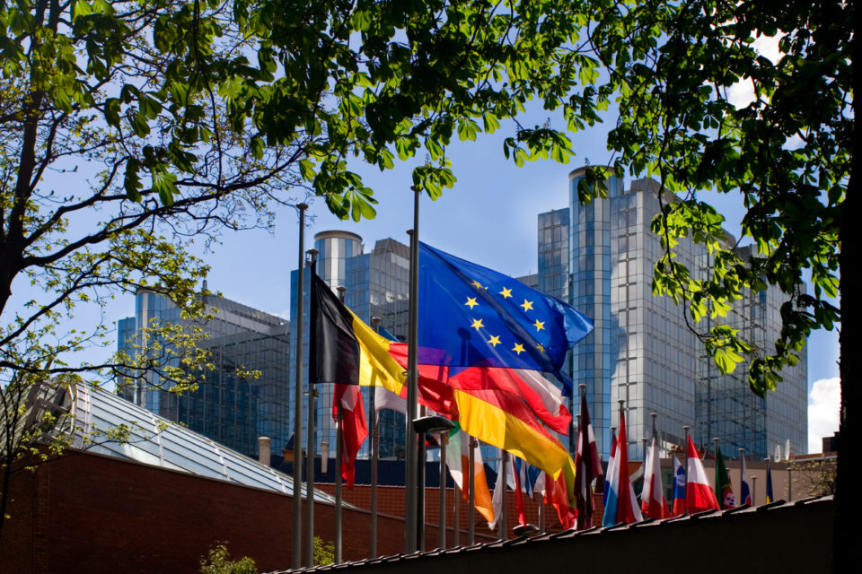 lags in front of European Parliament, Brussels