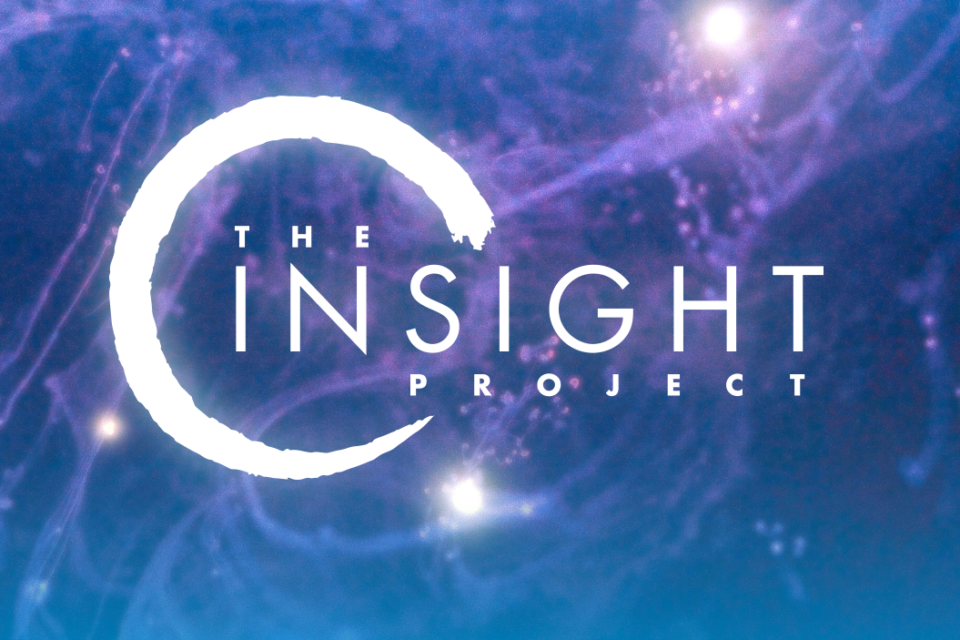 Ninja Theory anuncia THE INSIGHT PROJECT