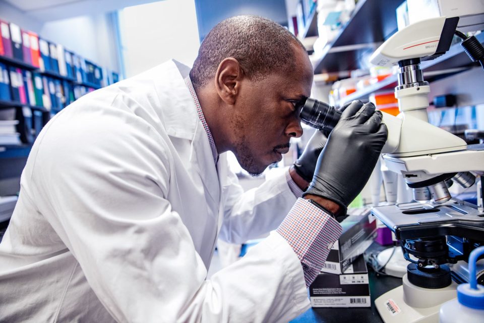 investigación sobre el plasma