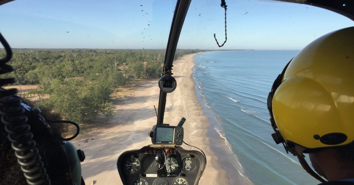 Tortugas Marinas - Helicóptero