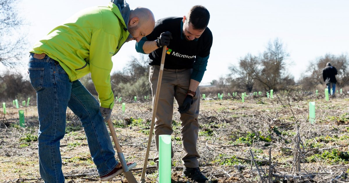 2023-02-24 Reforestación San Sebastián de los Reyes (112)