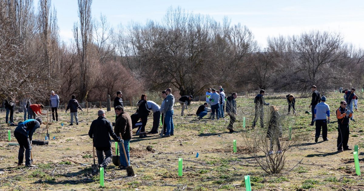 2023-02-24 Reforestación San Sebastián de los Reyes (130)