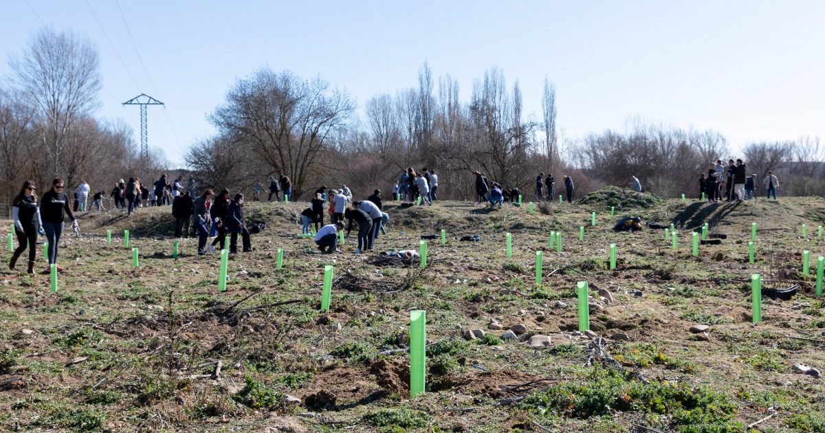 2023-02-24 Reforestación San Sebastián de los Reyes (66)
