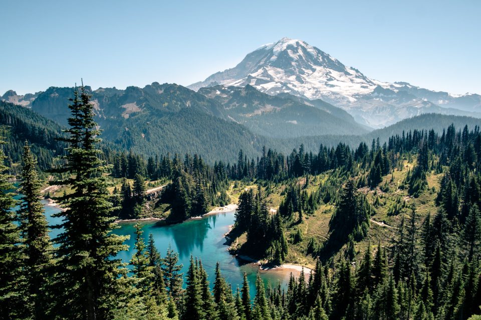 Paisaje bosques
