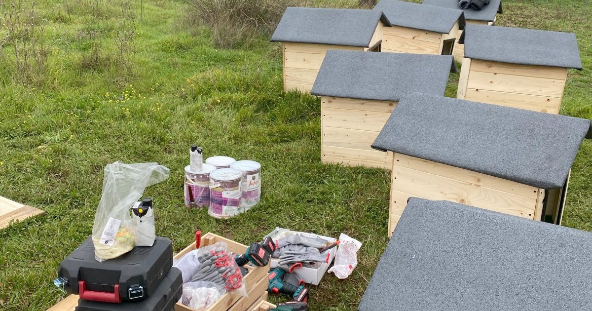 Reforestación en Algete - Microsoft (4)