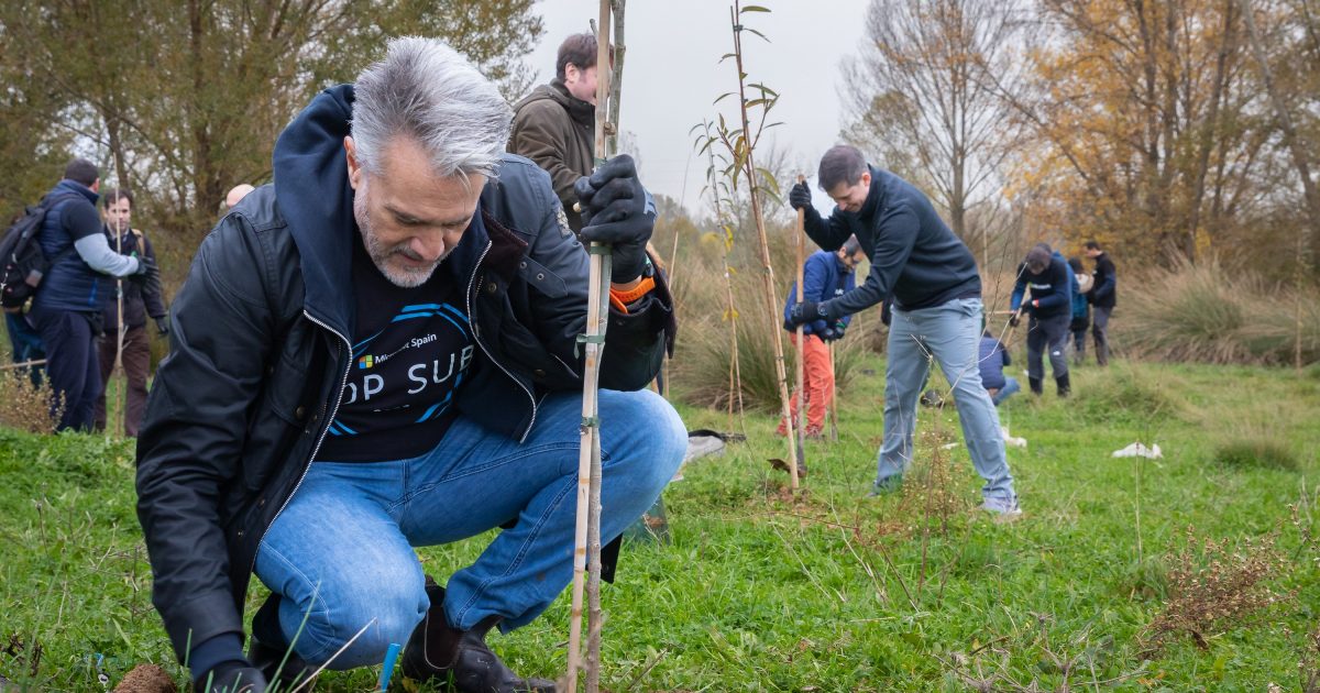 Reforestación en Algete - Microsoft (7)