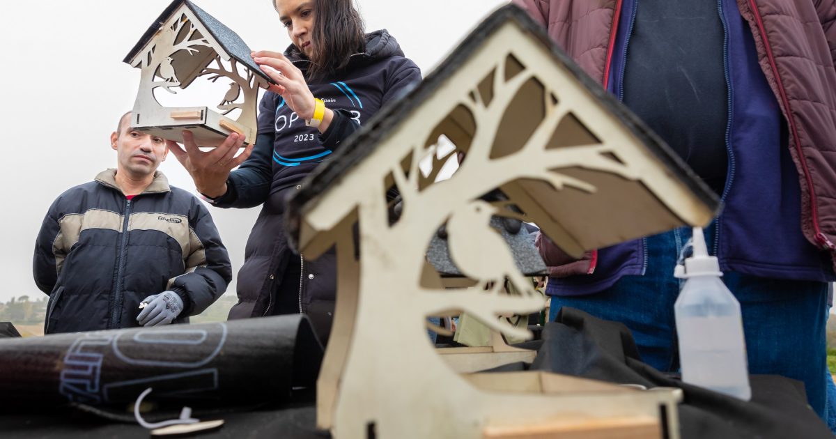 Reforestación en Algete - Microsoft (8)