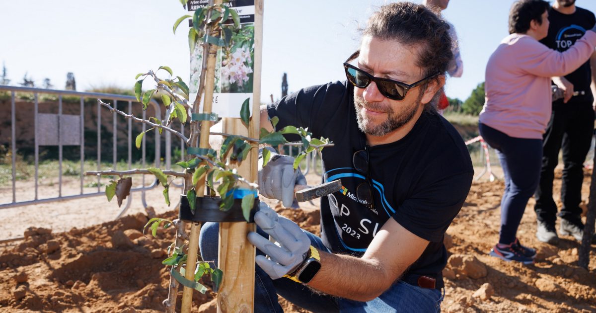 Reforestación en Sitges - Microsoft (3)