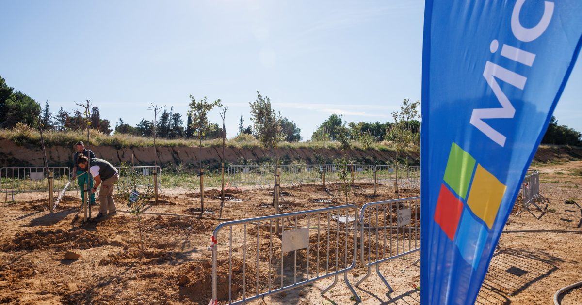 Reforestación en Sitges - Microsoft (5)