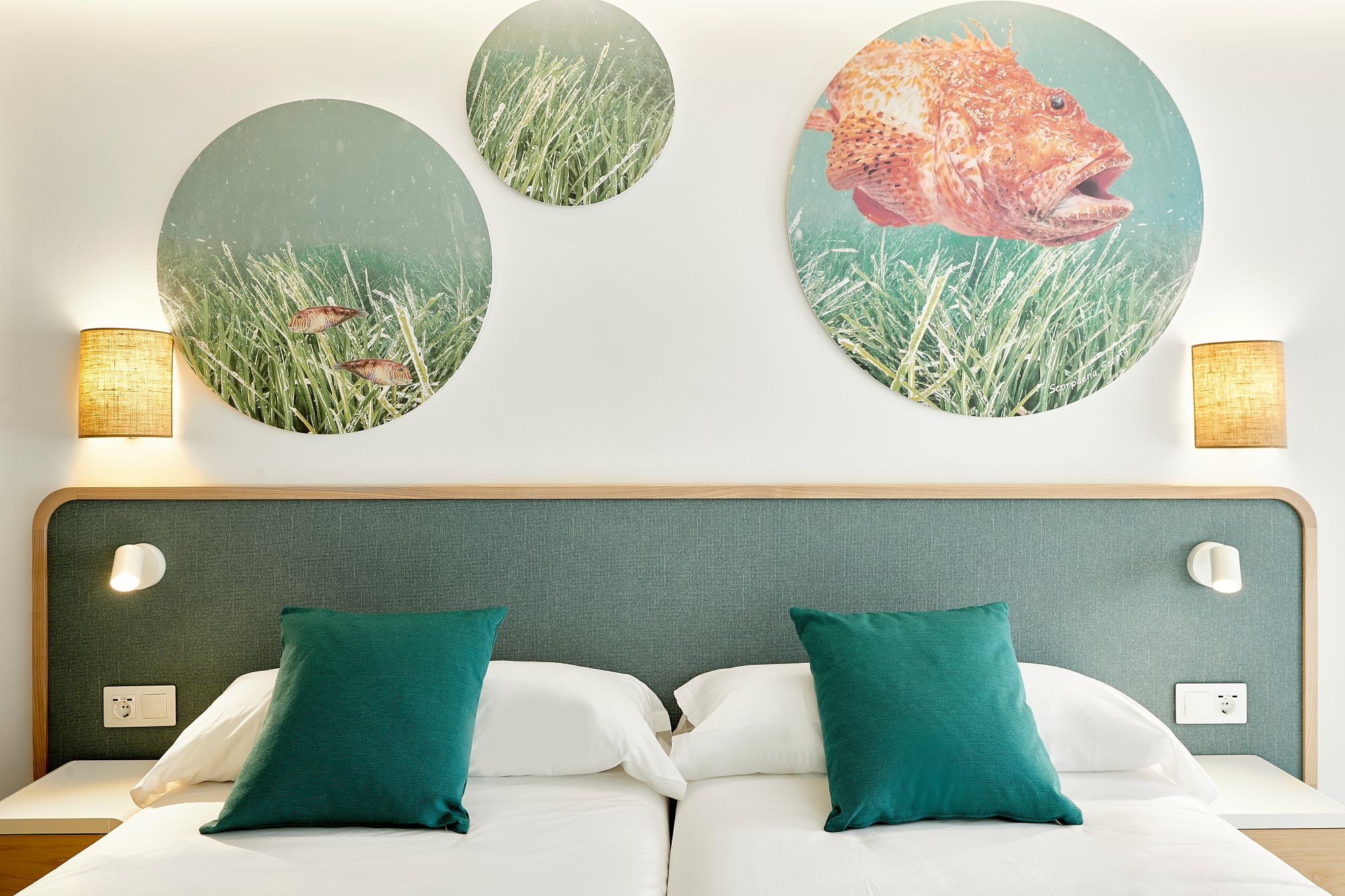 Vista del cabecero de una cama en un alojamiento hotelero de Iberostar. Dos camas individuales juntas con cojines de color verde y tres cuadros circulares con motivos del fondo marino en la pared