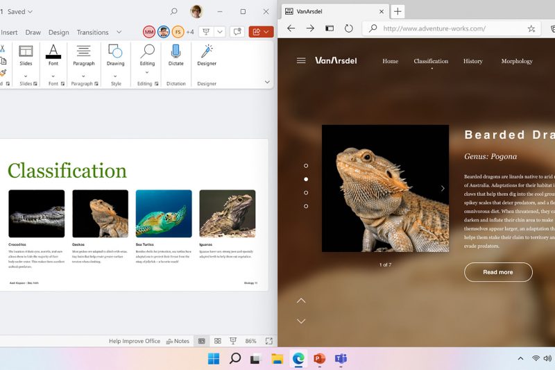 A screenshot of a PowerPoint presentation with reptiles showing