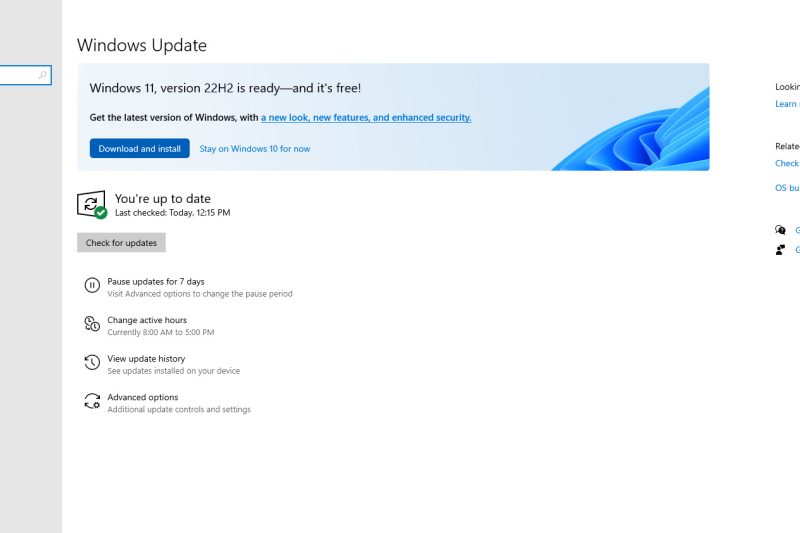 Windows Settings page open to Windows update, with a banner at the top that says Windows 11, version 22H2 is ready and its free offering options to download and install or stay on Windows 10 for now.