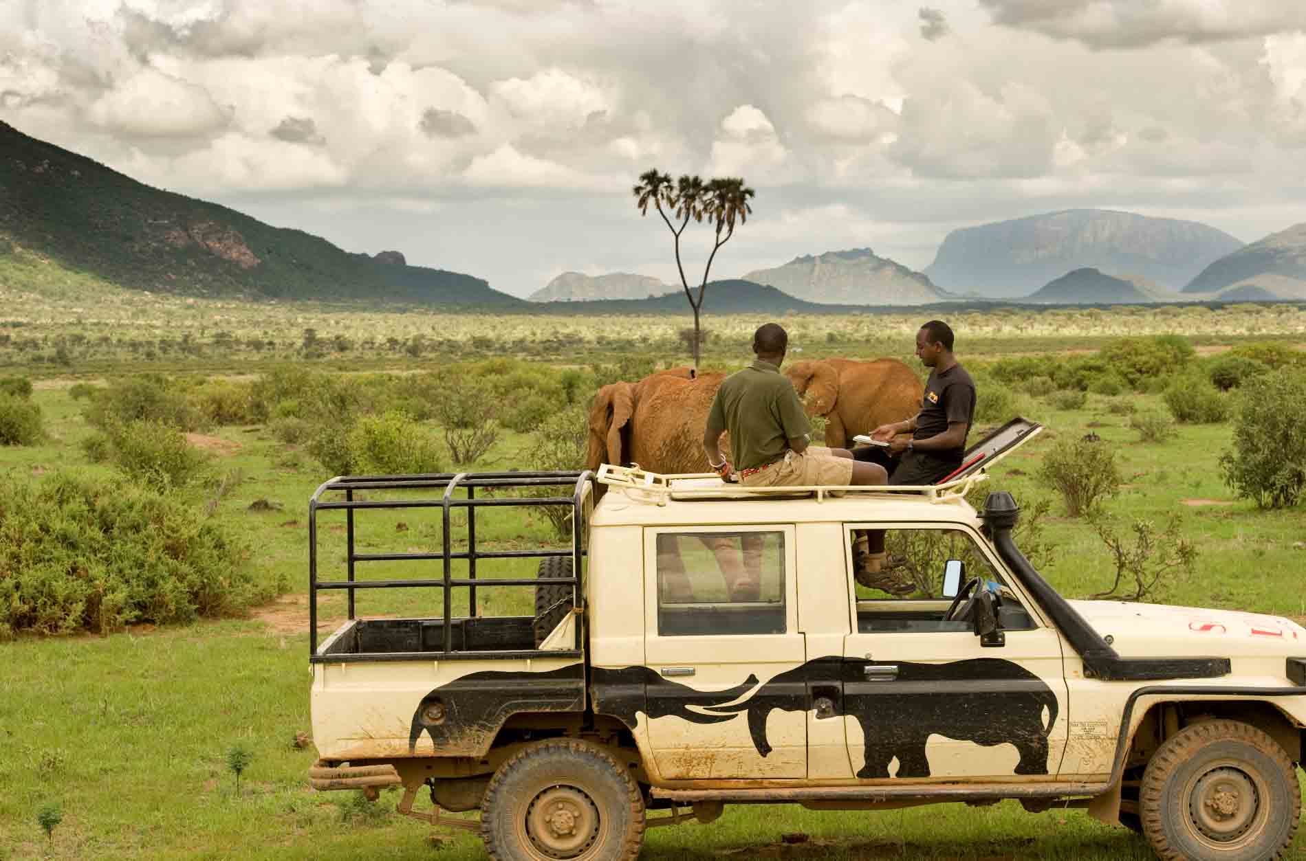 STE's David Daballen and Jerenimo Lepirei using the tracking app during long term monitoring in Samburu National Reserve. Photo by Frank af Petersens