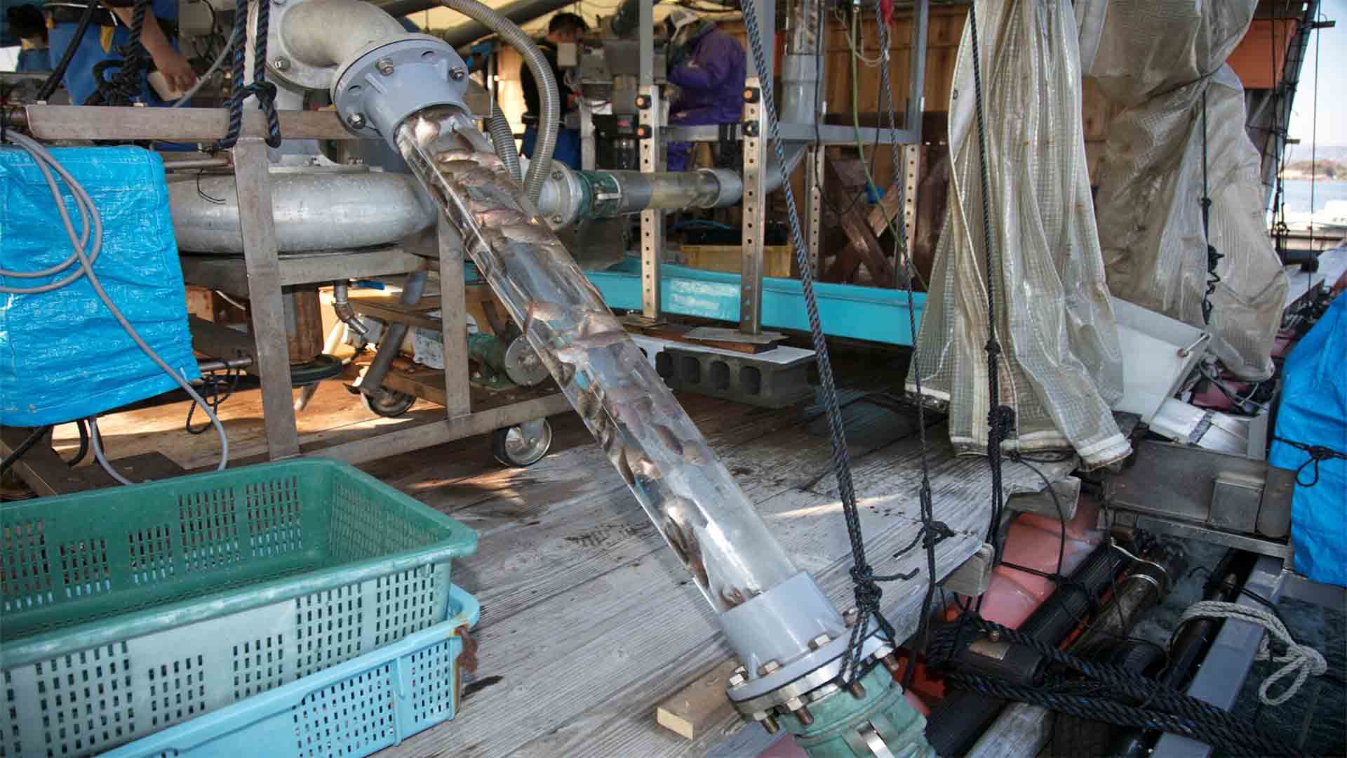 The speed of the pump is crucial in the sorting process. Photo: Microsoft Japan