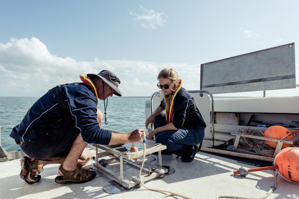 Using a GoPro, researchers at NT Fisheries begin the process of assessing critical fish species.