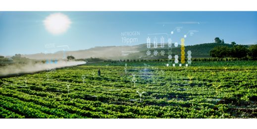 Agriculture