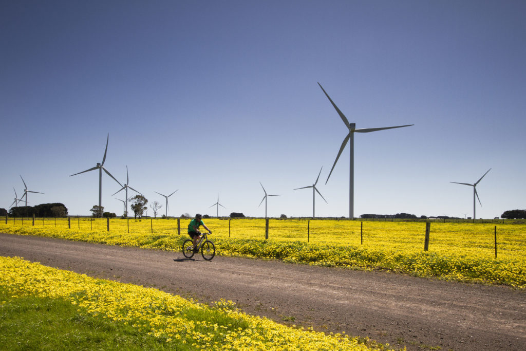 windmills in field