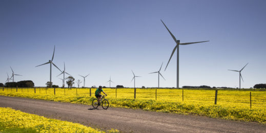 windmills in field