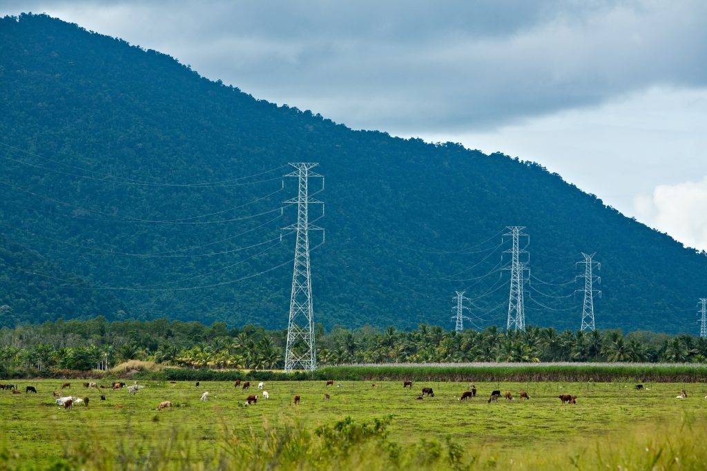 Electrical cable lines in a field