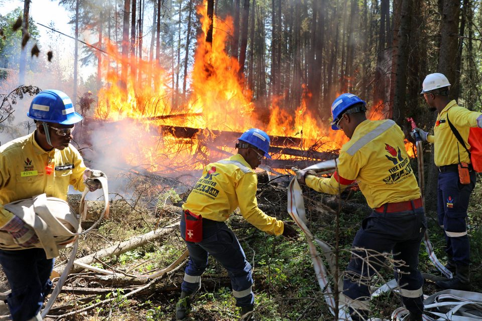 Fighting Canada’s record wildfires with a combination of AI and intuition
