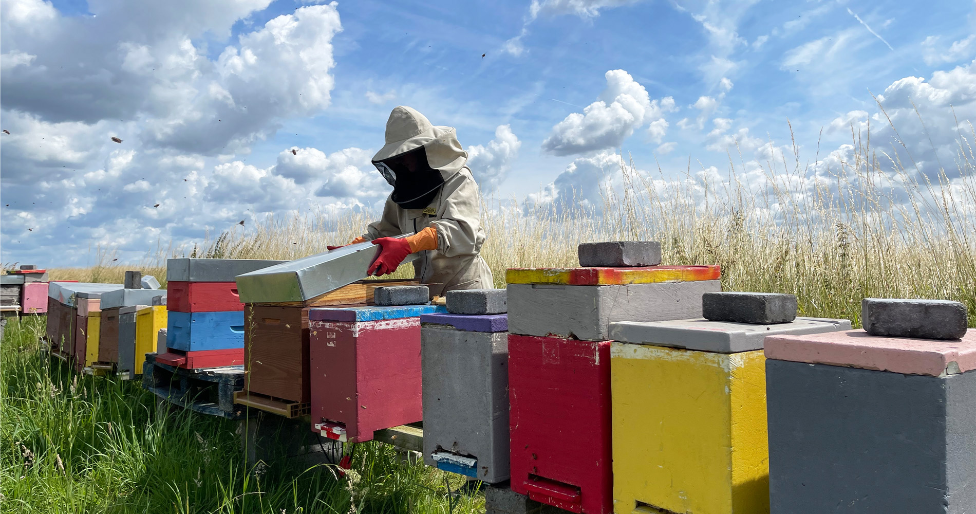 A beekeeper works outside