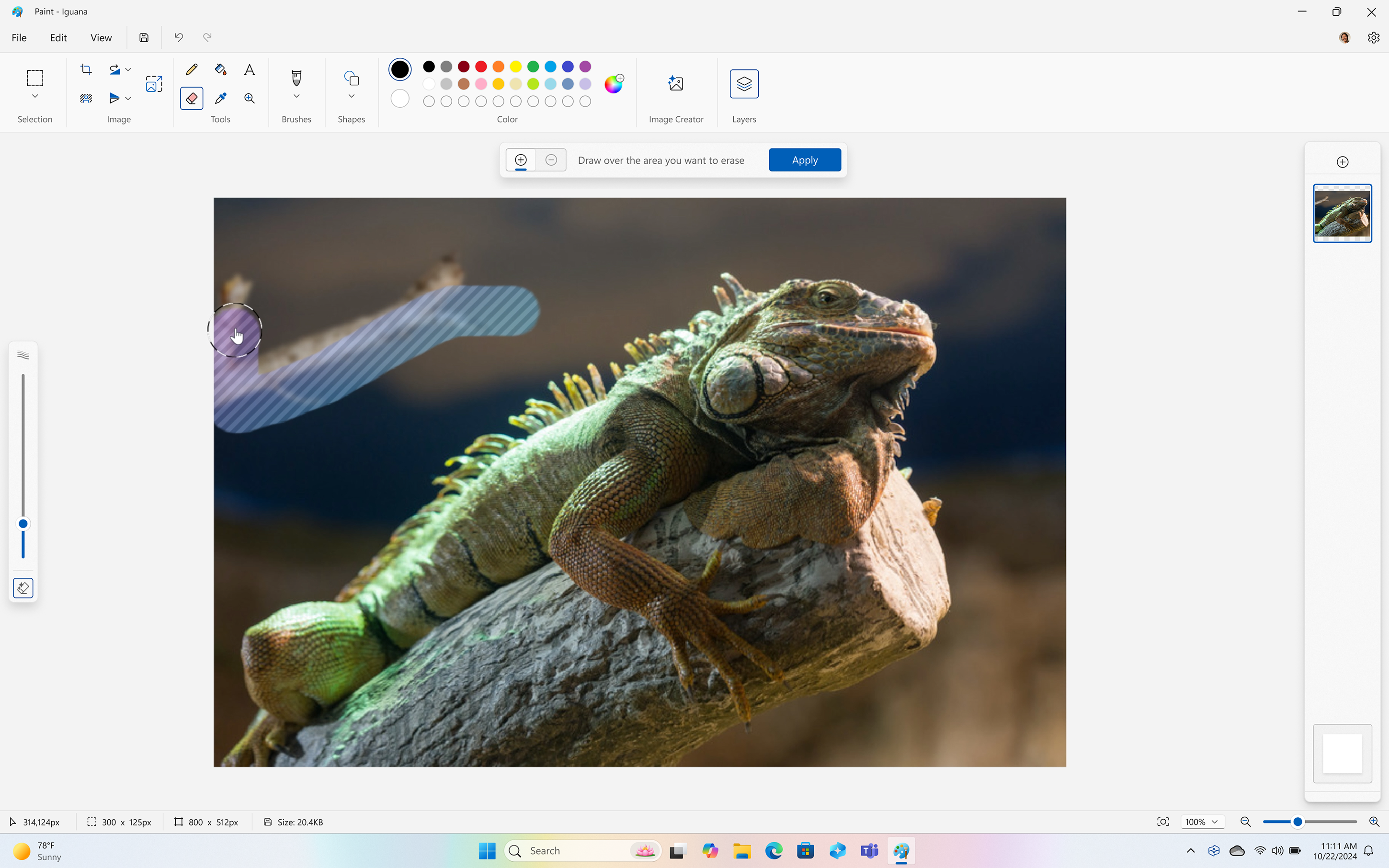 Generative Erase in Paint with an image of an iguana on a log. There is a button that allows users to draw over the area they want to erase. The log behind the iguana is getting erased.
