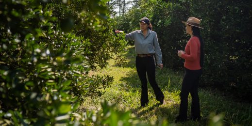 Two women in an orange grove in rural Sao Paulo state, Brazil.
